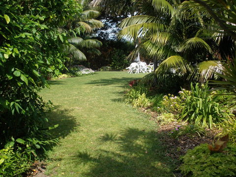 The Broken Banyan - Lismore Accommodation 2