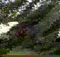 Turkeys Nest Rainforest Cottages Mt Glorious - Lismore Accommodation