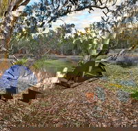 Woolpress Bend campground - Lismore Accommodation