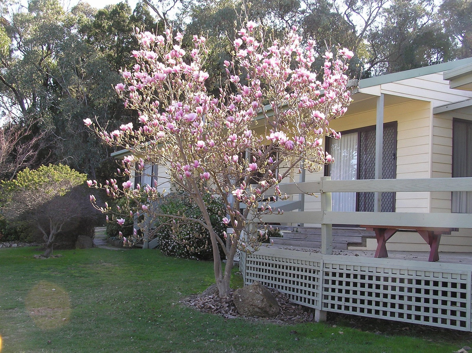 Beechworth VIC Lismore Accommodation