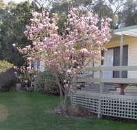 Annies Holiday Units - Lismore Accommodation