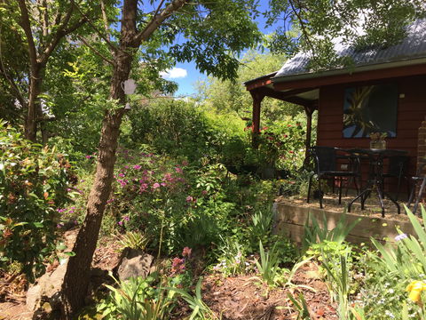 Artscape Cottage Beechworth - Lismore Accommodation 2