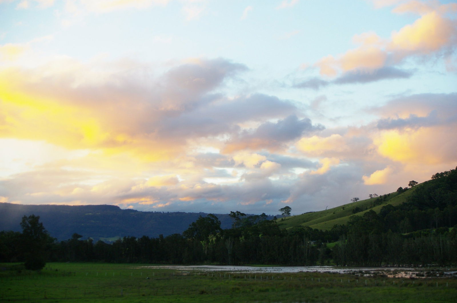 Back Forest NSW Lismore Accommodation