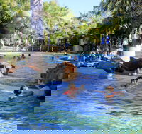 Big4 Aussie Outback Oasis Holiday Park - Lismore Accommodation