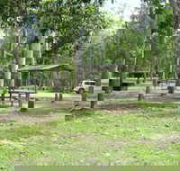 Broadwater camping area Abergowrie State Forest - Lismore Accommodation