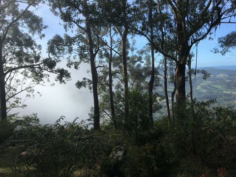 Escarpment - Lismore Accommodation 2