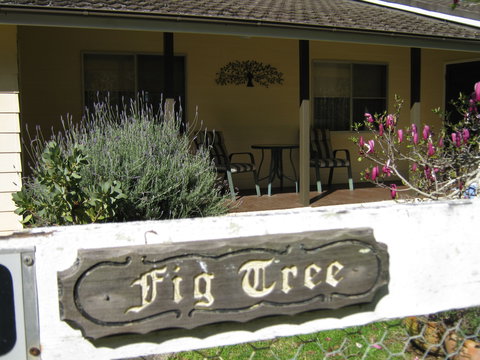 Figtree Cottage - Lismore Accommodation 0