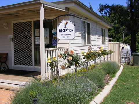 Fossickers' Tourist Park - Lismore Accommodation 0