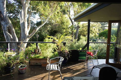 Kookaburra Dreaming - Lismore Accommodation 2