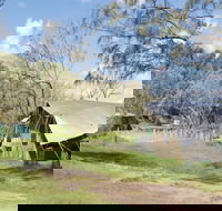 Pebbly Beach campground - Yuraygir National Park - Lismore Accommodation