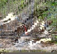 Rakhi Retreat - Lismore Accommodation