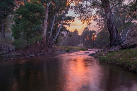 Riverdowns - Lismore Accommodation 1
