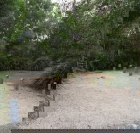 Springbrook National Park camping - Lismore Accommodation