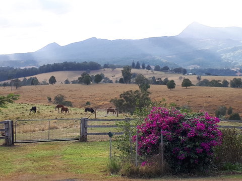 The Barn  House Farm Stay At Possum Manor - Lismore Accommodation 0