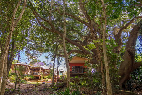 The African Village - By Clouds - Lismore Accommodation 0