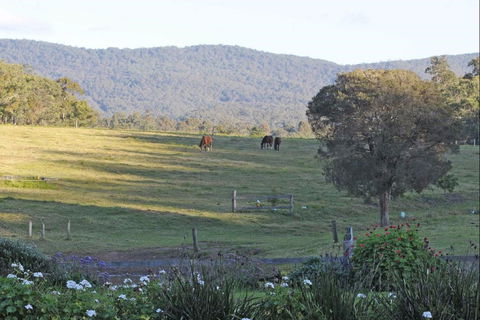 Wallaby Cottage - Lismore Accommodation 0