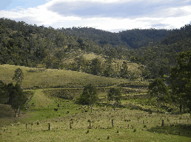 Yasuragi Cabins - Lismore Accommodation