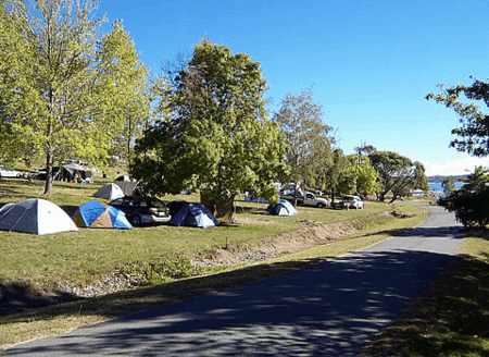 Buckenderra Holiday Village - Lismore Accommodation 2