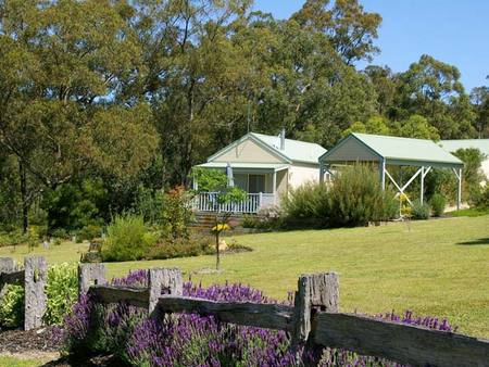 Stringybark Cottages - Lismore Accommodation 1