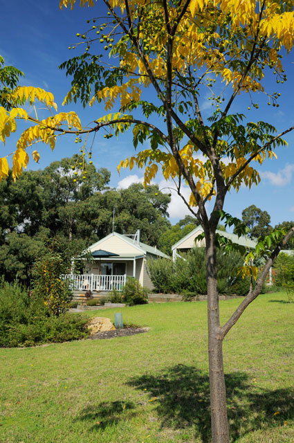 Stringybark Cottages - Lismore Accommodation 2