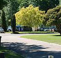 Mitchell Gardens Holiday Park - Lismore Accommodation