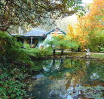 Monreale Estate - Lismore Accommodation