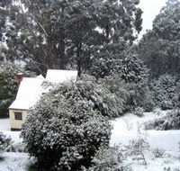 Tranquillity Cottage - Lismore Accommodation