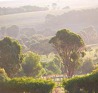 Mackas Farm - Lismore Accommodation