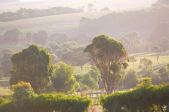 Mackas Farm - Lismore Accommodation 0