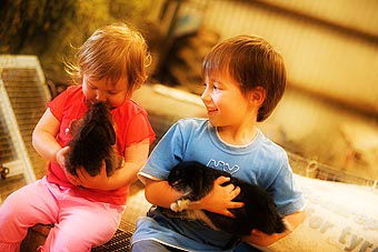 Mackas Farm - Lismore Accommodation 1