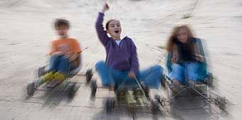 Mackas Farm - Lismore Accommodation 2