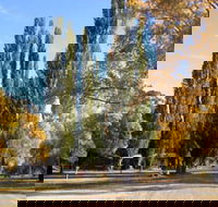 Omeo Caravan Park - Lismore Accommodation
