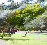 Otways Tourist Park - Lismore Accommodation
