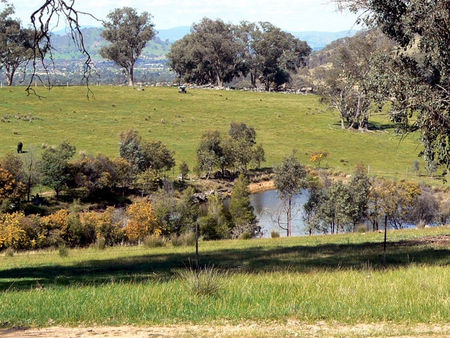 Gaddleen Grove Cottages - Lismore Accommodation 3