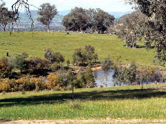Gaddleen Grove Cottages - Lismore Accommodation 5