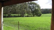 The Glen Farm Cottages - Lismore Accommodation 2