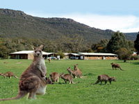 Halls Gap Log Cabins - Lismore Accommodation 2