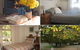 Maybole Cottage - thumb 1