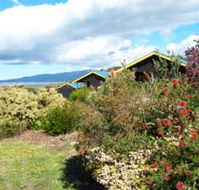 Black Cockatoo Cottages - Lismore Accommodation
