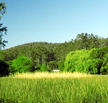 Waterholes Guest House - Lismore Accommodation