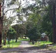 Moe Gardens Caravan Park - Lismore Accommodation
