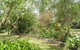 Hudspeth House Bed And Breakfast - thumb 5