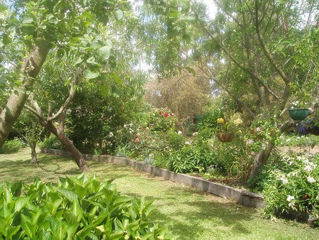 Hudspeth House Bed And Breakfast - Lismore Accommodation 5