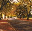 La Trobe at Beechworth - Lismore Accommodation