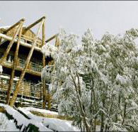 Silverski - Lismore Accommodation