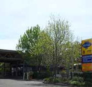 Sydney Hills Holiday Park - Lismore Accommodation
