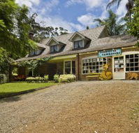 Curtis Falls Mountain Retreat - Lismore Accommodation