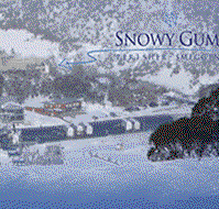 Snowy Gums Chalet - Lismore Accommodation