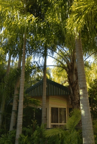 BIG4 Tropical Wanderer Resort - Lismore Accommodation