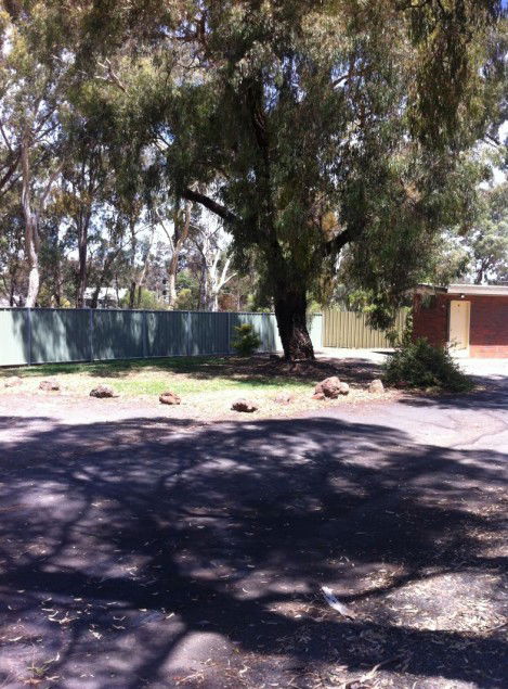 Golden Country Motel And Caravan Park - Lismore Accommodation 2